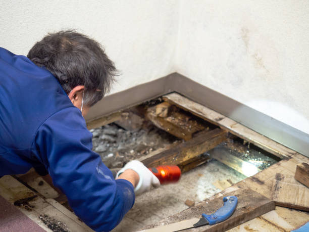 Best Crawl Space Mold Removal  in Governors Village, NC