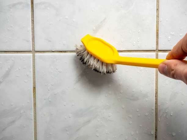 Best Professional Mold Removal  in Governors Village, NC