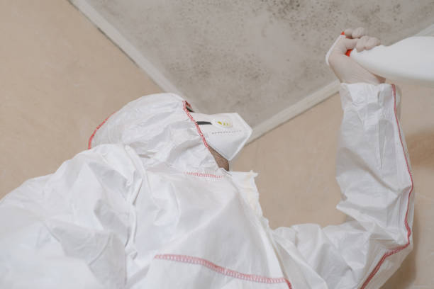 Home Mold Removal in Governors Village, NC