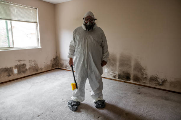 Best Residential Mold Removal  in Governors Village, NC